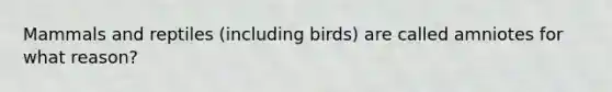 Mammals and reptiles (including birds) are called amniotes for what reason?