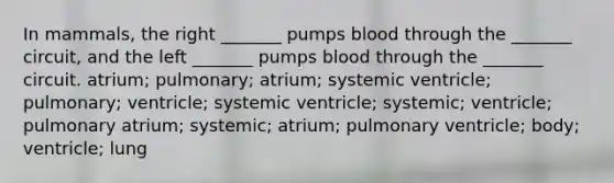 In mammals, the right _______ pumps blood through the _______ circuit, and the left _______ pumps blood through the _______ circuit. atrium; pulmonary; atrium; systemic ventricle; pulmonary; ventricle; systemic ventricle; systemic; ventricle; pulmonary atrium; systemic; atrium; pulmonary ventricle; body; ventricle; lung