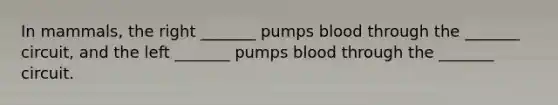 In mammals, the right _______ pumps blood through the _______ circuit, and the left _______ pumps blood through the _______ circuit.