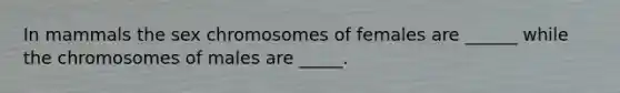 In mammals the sex chromosomes of females are ______ while the chromosomes of males are _____.