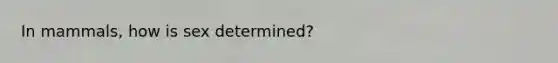 In mammals, how is sex determined?
