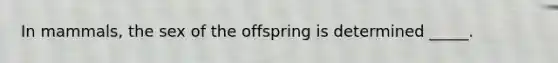 In mammals, the sex of the offspring is determined _____.