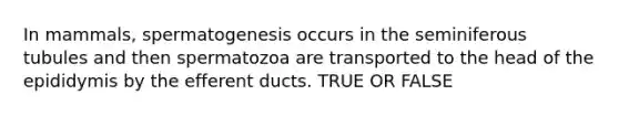 In mammals, spermatogenesis occurs in the seminiferous tubules and then spermatozoa are transported to the head of the epididymis by the efferent ducts. TRUE OR FALSE