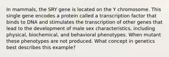 In mammals, the SRY gene is located on the Y chromosome. This single gene encodes a protein called a transcription factor that binds to DNA and stimulates the transcription of other genes that lead to the development of male sex characteristics, including physical, biochemical, and behavioral phenotypes. When mutant these phenotypes are not produced. What concept in genetics best describes this example?