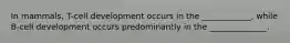 In mammals, T-cell development occurs in the ____________, while B-cell development occurs predominantly in the ______________.
