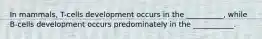 In mammals, T-cells development occurs in the __________, while B-cells development occurs predominately in the ___________.