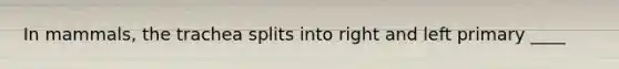 In mammals, the trachea splits into right and left primary ____