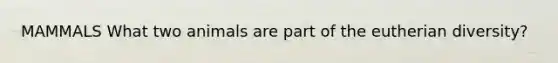 MAMMALS What two animals are part of the eutherian diversity?
