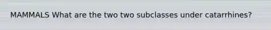 MAMMALS What are the two two subclasses under catarrhines?