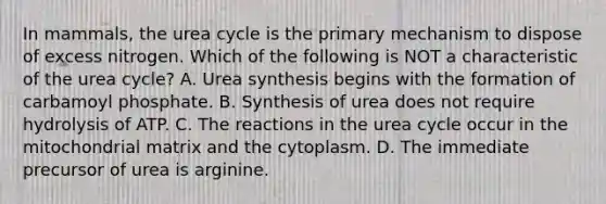 In mammals, the urea cycle is the primary mechanism to dispose of excess nitrogen. Which of the following is NOT a characteristic of the urea cycle? A. Urea synthesis begins with the formation of carbamoyl phosphate. B. Synthesis of urea does not require hydrolysis of ATP. C. The reactions in the urea cycle occur in the mitochondrial matrix and the cytoplasm. D. The immediate precursor of urea is arginine.