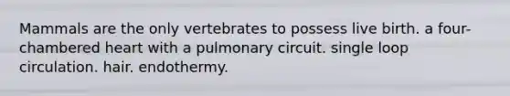 Mammals are the only vertebrates to possess live birth. a four-chambered heart with a pulmonary circuit. single loop circulation. hair. endothermy.