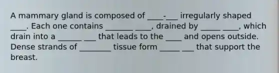 A mammary gland is composed of ____-___ irregularly shaped ____. Each one contains _______ ____, drained by _____ ____, which drain into a ______ ___ that leads to the ____ and opens outside. Dense strands of ________ tissue form _____ ___ that support the breast.