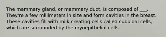 The mammary gland, or mammary duct, is composed of ___. They're a few millimeters in size and form cavities in the breast. These cavities fill with milk-creating cells called cuboidal cells, which are surrounded by the myoepithelial cells.