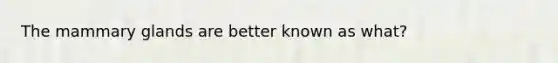 The mammary glands are better known as what?