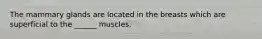 The mammary glands are located in the breasts which are superficial to the ______ muscles.