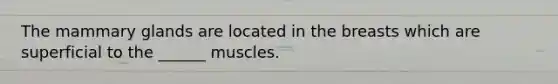 The mammary glands are located in the breasts which are superficial to the ______ muscles.