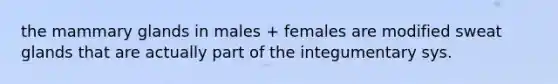 the mammary glands in males + females are modified sweat glands that are actually part of the integumentary sys.