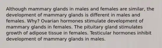 Although mammary glands in males and females are similar, the development of mammary glands is different in males and females. Why? Ovarian hormones stimulate development of mammary glands in females. The pituitary gland stimulates growth of adipose tissue in females. Testicular hormones inhibit development of mammary glands in males.