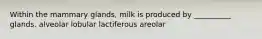 Within the mammary glands, milk is produced by __________ glands. alveolar lobular lactiferous areolar