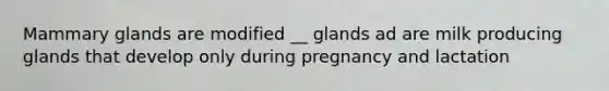 Mammary glands are modified __ glands ad are milk producing glands that develop only during pregnancy and lactation