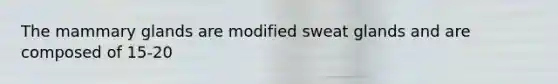 The mammary glands are modified sweat glands and are composed of 15-20