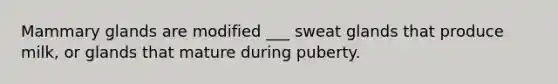 Mammary glands are modified ___ sweat glands that produce milk, or glands that mature during puberty.