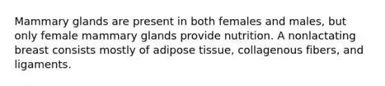 Mammary glands are present in both females and males, but only female mammary glands provide nutrition. A nonlactating breast consists mostly of adipose tissue, collagenous fibers, and ligaments.