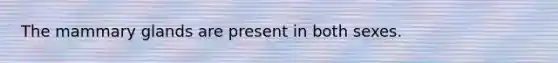 The mammary glands are present in both sexes.