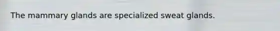 The mammary glands are specialized sweat glands.