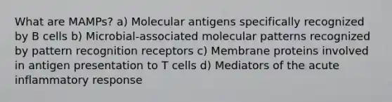 What are MAMPs? a) Molecular antigens specifically recognized by B cells b) Microbial-associated molecular patterns recognized by pattern recognition receptors c) Membrane proteins involved in antigen presentation to T cells d) Mediators of the acute inflammatory response