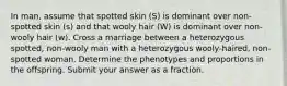 In man, assume that spotted skin (S) is dominant over non-spotted skin (s) and that wooly hair (W) is dominant over non-wooly hair (w). Cross a marriage between a heterozygous spotted, non-wooly man with a heterozygous wooly-haired, non-spotted woman. Determine the phenotypes and proportions in the offspring. Submit your answer as a fraction.