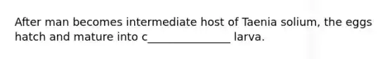 After man becomes intermediate host of Taenia solium, the eggs hatch and mature into c_______________ larva.
