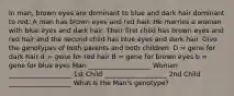 In man, brown eyes are dominant to blue and dark hair dominant to red. A man has brown eyes and red hair. He marries a woman with blue eyes and dark hair. Their first child has brown eyes and red hair and the second child has blue eyes and dark hair. Give the genotypes of both parents and both children. D = gene for dark hair d = gene for red hair B = gene for brown eyes b = gene for blue eyes Man ___________________ Woman ___________________ 1st Child ___________________ 2nd Child ___________________ What is the Man's genotype?