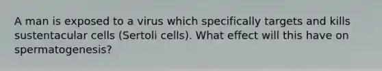 A man is exposed to a virus which specifically targets and kills sustentacular cells (Sertoli cells). What effect will this have on spermatogenesis?