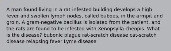 A man found living in a rat-infested building develops a high fever and swollen lymph nodes, called buboes, in the armpit and groin. A gram-negative bacillus is isolated from the patient, and the rats are found to be infested with Xenopsylla cheopis. What is the disease? bubonic plague rat-scratch disease cat-scratch disease relapsing fever Lyme disease