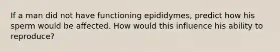 If a man did not have functioning epididymes, predict how his sperm would be affected. How would this influence his ability to reproduce?