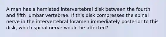 A man has a herniated intervertebral disk between the fourth and fifth lumbar vertebrae. If this disk compresses the spinal nerve in the intervertebral foramen immediately posterior to this disk, which spinal nerve would be affected?