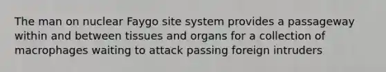 The man on nuclear Faygo site system provides a passageway within and between tissues and organs for a collection of macrophages waiting to attack passing foreign intruders