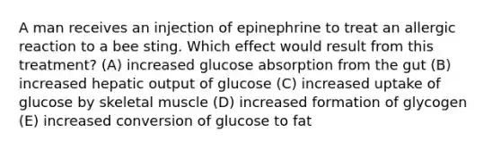 A man receives an injection of epinephrine to treat an allergic reaction to a bee sting. Which effect would result from this treatment? (A) increased glucose absorption from the gut (B) increased hepatic output of glucose (C) increased uptake of glucose by skeletal muscle (D) increased formation of glycogen (E) increased conversion of glucose to fat