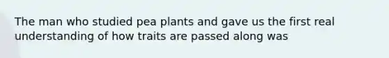 The man who studied pea plants and gave us the first real understanding of how traits are passed along was