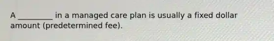 A _________ in a managed care plan is usually a fixed dollar amount (predetermined fee).