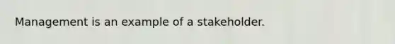 Management is an example of a stakeholder.