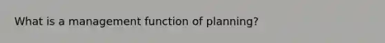 What is a management function of planning?