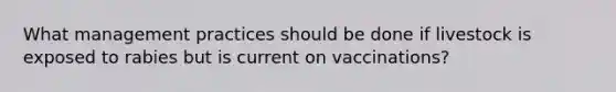 What management practices should be done if livestock is exposed to rabies but is current on vaccinations?