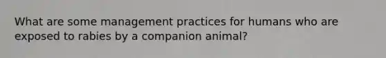 What are some management practices for humans who are exposed to rabies by a companion animal?