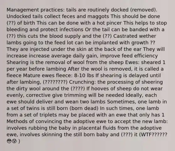 Management practices: tails are routinely docked (removed). Undocked tails collect feces and maggots This should be done (??) of birth This can be done with a hot pincer This helps to stop bleeding and protect infections Or the tail can be banded with a (??) this cuts the blood supply and the (??) Castrated wether lambs going to the feed lot can be implanted with growth ?? They are injected under the skin at the back of the ear They will increase increase average daily gain, improve feed efficiency Shearing is the removal of wool from the sheep Ewes: sheared 1 per year before lambing After the wool is removed, it is called a fleece Mature ewes fleece: 8-10 lbs If shearing is delayed until after lambing, (????????) Crunching: the processing of sheering the dirty wool around the (????) If hooves of sheep do not wear evenly, corrective give trimming will be needed Ideally, each ewe should deliver and wean two lambs Sometimes, one lamb in a set of twins is still born (born dead) In such times, one lamb from a set of triplets may be placed with an ewe that only has 1 Methods of convincing the adoptive ewe to accept the new lamb: involves rubbing the baby in placental fluids from the adoptive ewe, involves skinning the still born baby and (???) it (WTF??????😳😰）