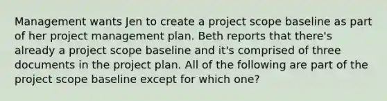 Management wants Jen to create a project scope baseline as part of her project management plan. Beth reports that there's already a project scope baseline and it's comprised of three documents in the project plan. All of the following are part of the project scope baseline except for which one?