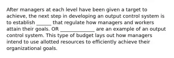 After managers at each level have been given a target to achieve, the next step in developing an output control system is to establish ______ that regulate how managers and workers attain their goals. OR ______________ are an example of an output control system. This type of budget lays out how managers intend to use allotted resources to efficiently achieve their organizational goals.