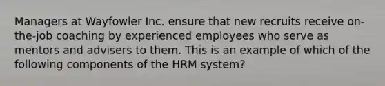 Managers at Wayfowler Inc. ensure that new recruits receive on-the-job coaching by experienced employees who serve as mentors and advisers to them. This is an example of which of the following components of the HRM system?