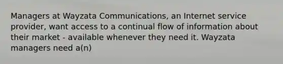 Managers at Wayzata Communications, an Internet service provider, want access to a continual flow of information about their market - available whenever they need it. Wayzata managers need a(n)